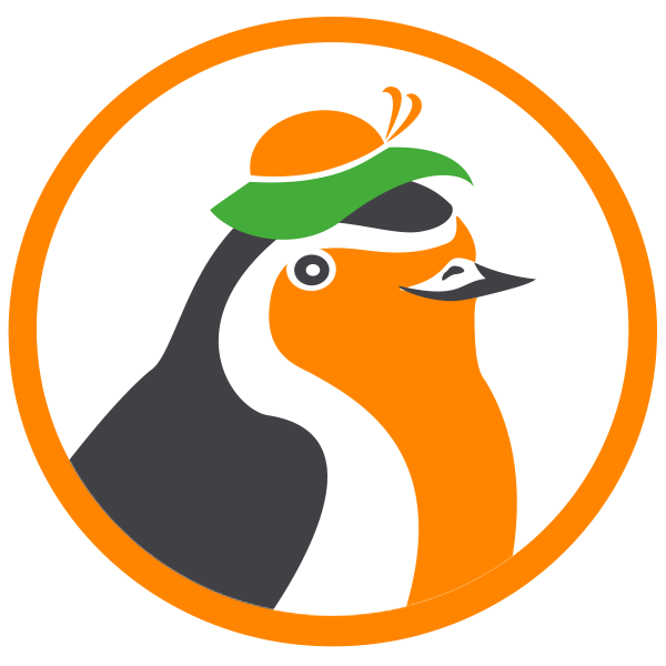 Robin Admin mascot
