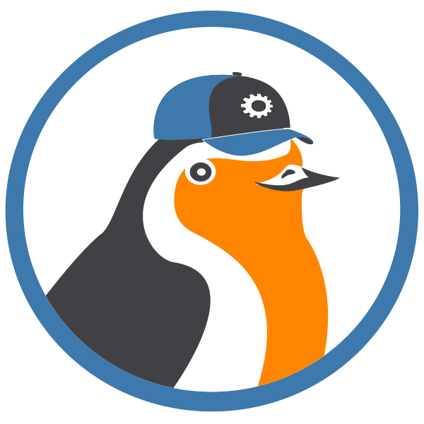 Robin Tools mascot